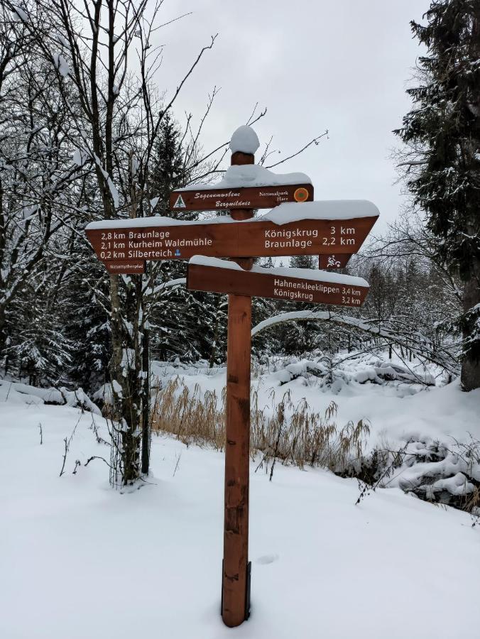 Walpurgis Hexe Lägenhet Braunlage Exteriör bild