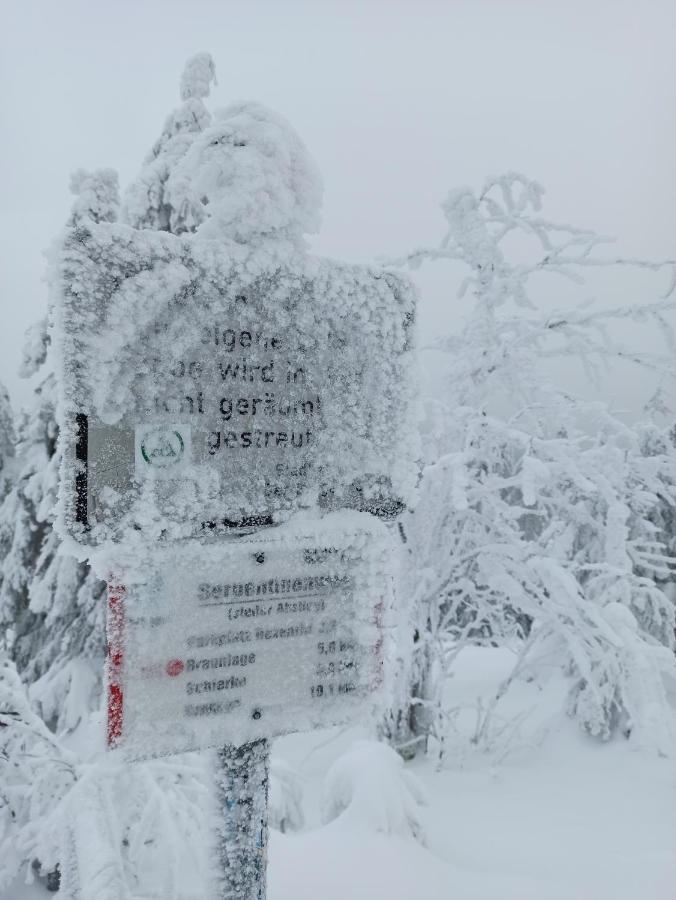 Walpurgis Hexe Lägenhet Braunlage Exteriör bild
