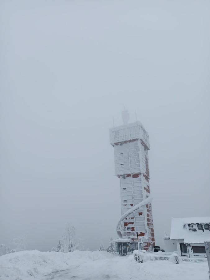 Walpurgis Hexe Lägenhet Braunlage Exteriör bild
