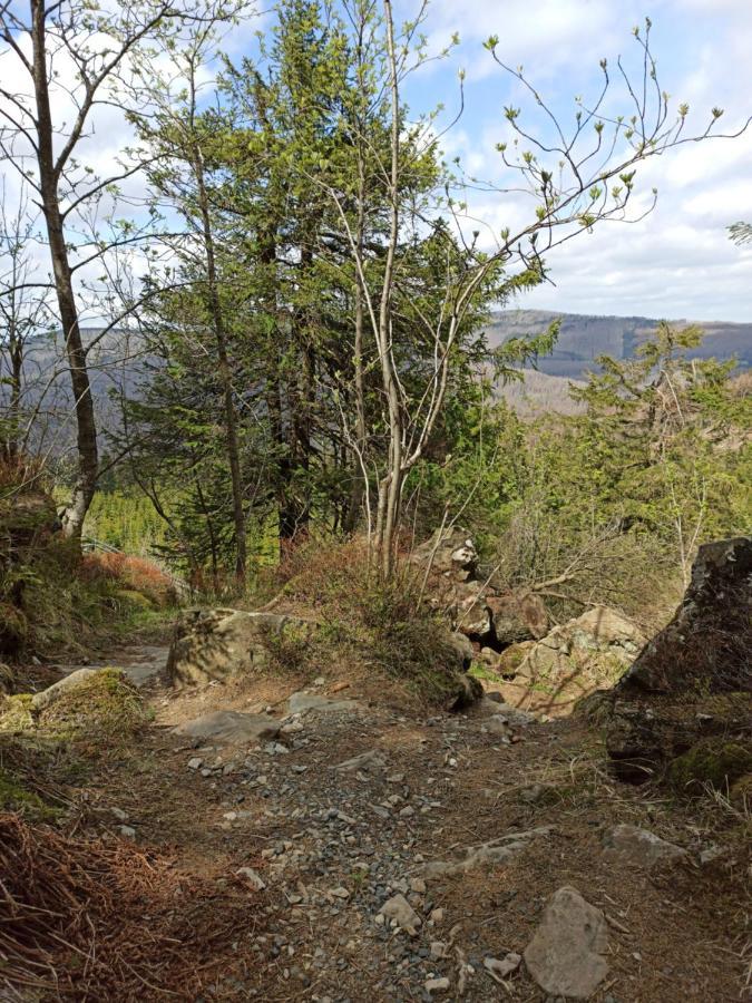 Walpurgis Hexe Lägenhet Braunlage Exteriör bild